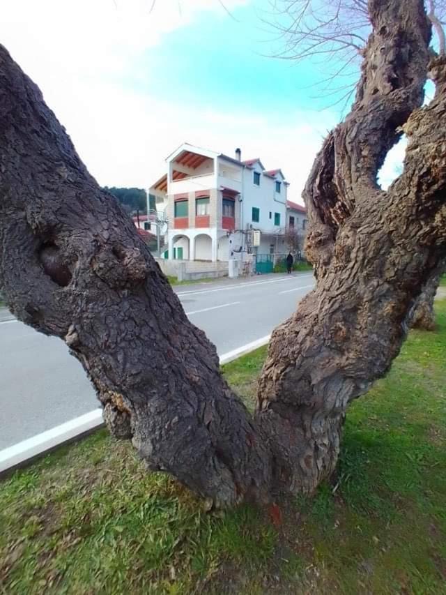 Apartments Pulic Skradin Dış mekan fotoğraf